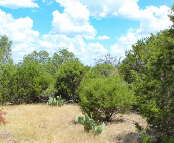 40 Ac Gillespie County Gal1