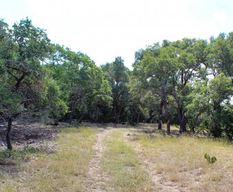 100 Ac Scenic Oaks South Gillespie Gal2